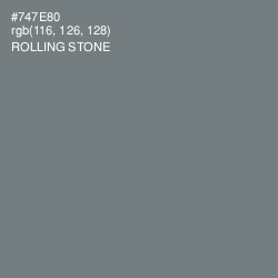 #747E80 - Rolling Stone Color Image