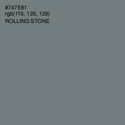 #747E81 - Rolling Stone Color Image