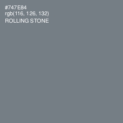 #747E84 - Rolling Stone Color Image