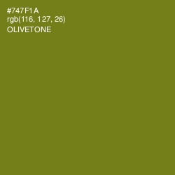 #747F1A - Olivetone Color Image