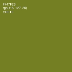 #747F23 - Crete Color Image