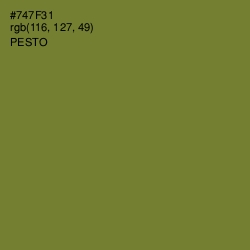 #747F31 - Pesto Color Image