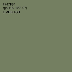 #747F61 - Limed Ash Color Image