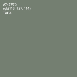 #747F72 - Tapa Color Image