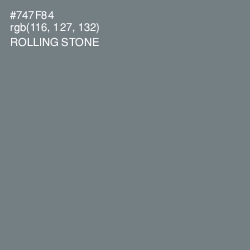 #747F84 - Rolling Stone Color Image