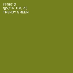 #74801D - Trendy Green Color Image