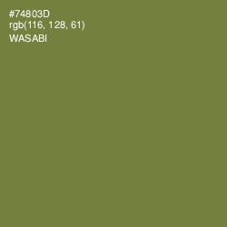 #74803D - Wasabi Color Image