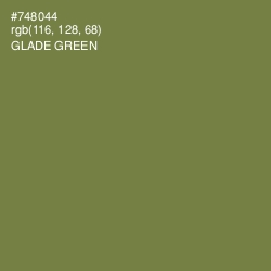#748044 - Glade Green Color Image