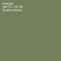 #74805D - Glade Green Color Image