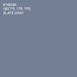#748096 - Slate Gray Color Image