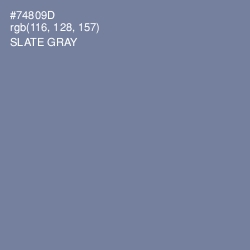 #74809D - Slate Gray Color Image