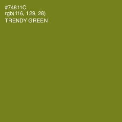 #74811C - Trendy Green Color Image