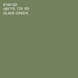 #74815D - Glade Green Color Image
