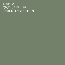 #74816A - Camouflage Green Color Image