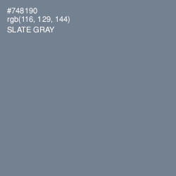 #748190 - Slate Gray Color Image