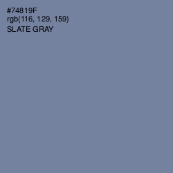 #74819F - Slate Gray Color Image