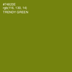 #74820E - Trendy Green Color Image