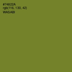 #74822A - Wasabi Color Image