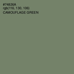 #74826A - Camouflage Green Color Image