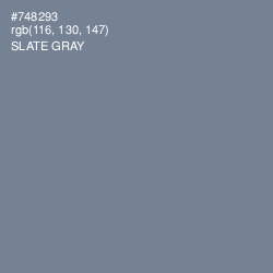 #748293 - Slate Gray Color Image