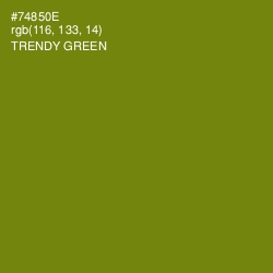 #74850E - Trendy Green Color Image