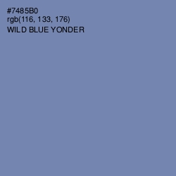 #7485B0 - Wild Blue Yonder Color Image