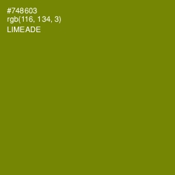 #748603 - Limeade Color Image