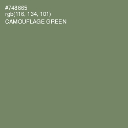 #748665 - Camouflage Green Color Image