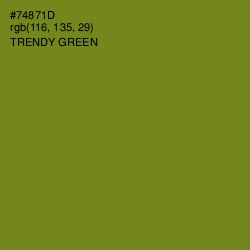 #74871D - Trendy Green Color Image