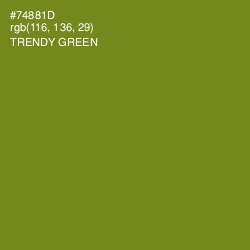 #74881D - Trendy Green Color Image