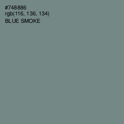 #748886 - Blue Smoke Color Image