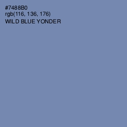 #7488B0 - Wild Blue Yonder Color Image