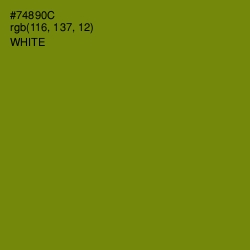 #74890C - Trendy Green Color Image