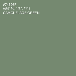 #74896F - Camouflage Green Color Image