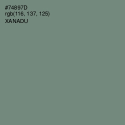 #74897D - Xanadu Color Image