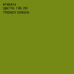 #748A14 - Trendy Green Color Image