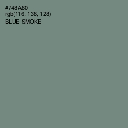 #748A80 - Blue Smoke Color Image
