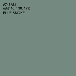 #748A81 - Blue Smoke Color Image