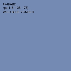 #748AB2 - Wild Blue Yonder Color Image