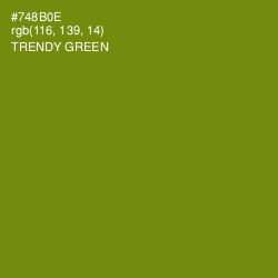 #748B0E - Trendy Green Color Image
