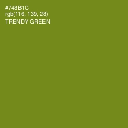 #748B1C - Trendy Green Color Image