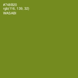 #748B20 - Wasabi Color Image