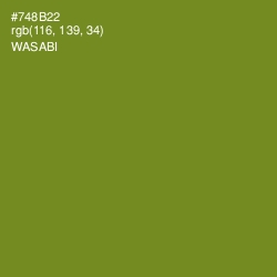 #748B22 - Wasabi Color Image