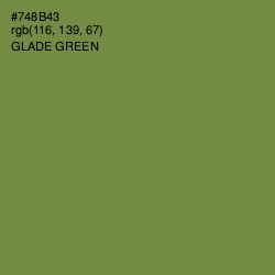 #748B43 - Glade Green Color Image