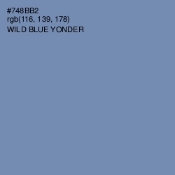 #748BB2 - Wild Blue Yonder Color Image