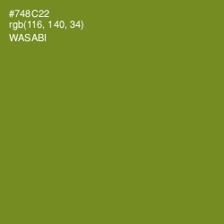 #748C22 - Wasabi Color Image