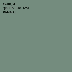 #748C7D - Xanadu Color Image