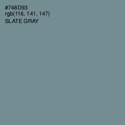 #748D93 - Slate Gray Color Image