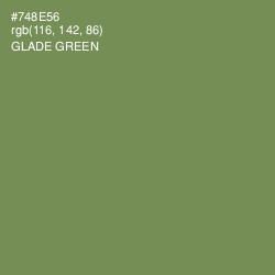 #748E56 - Glade Green Color Image