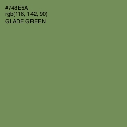 #748E5A - Glade Green Color Image